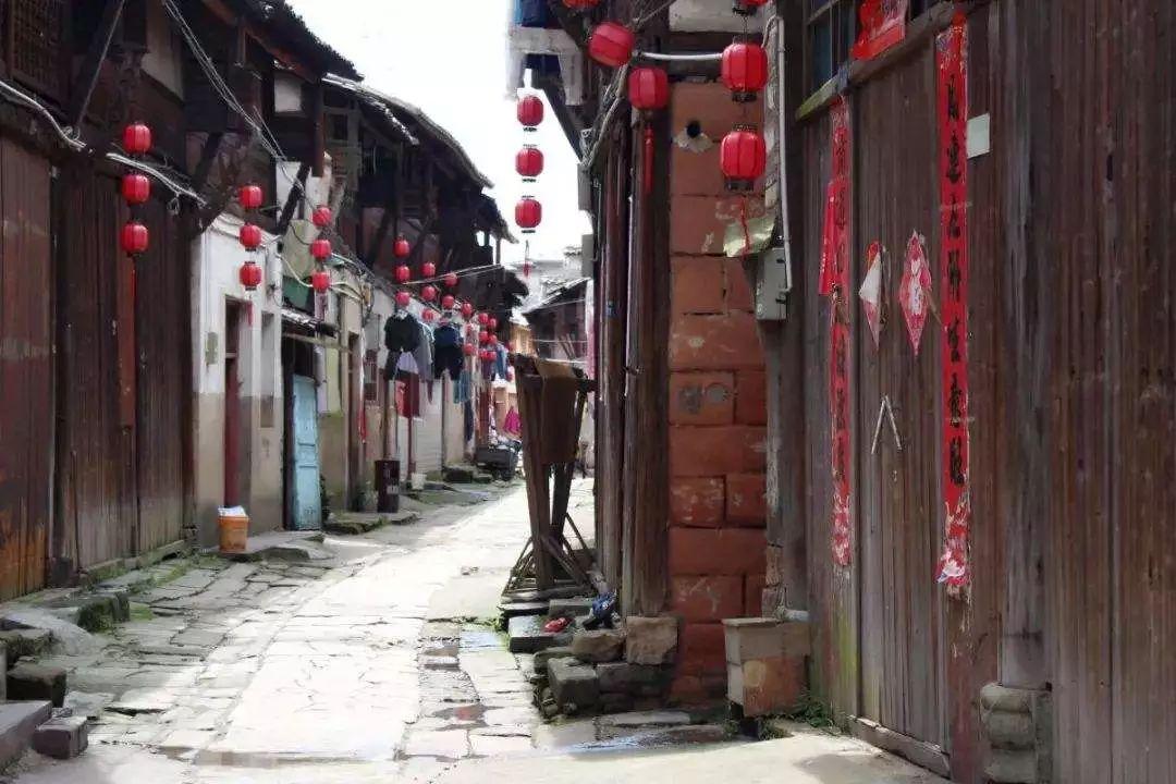 动物帮帮忙保卫家园